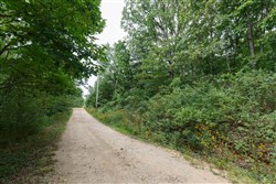 property photo for Springlake Plat 2 Tract 26, 0.19 acres for sale in Miller County, Missouri