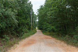 property photo for Springlake Plat 2 Tract 29, 0.19 acres for sale in Miller County, Missouri