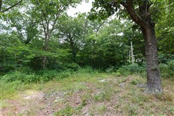 property photo for Springlake Plat 2 Tract 29, 0.19 acres for sale in Miller County, Missouri