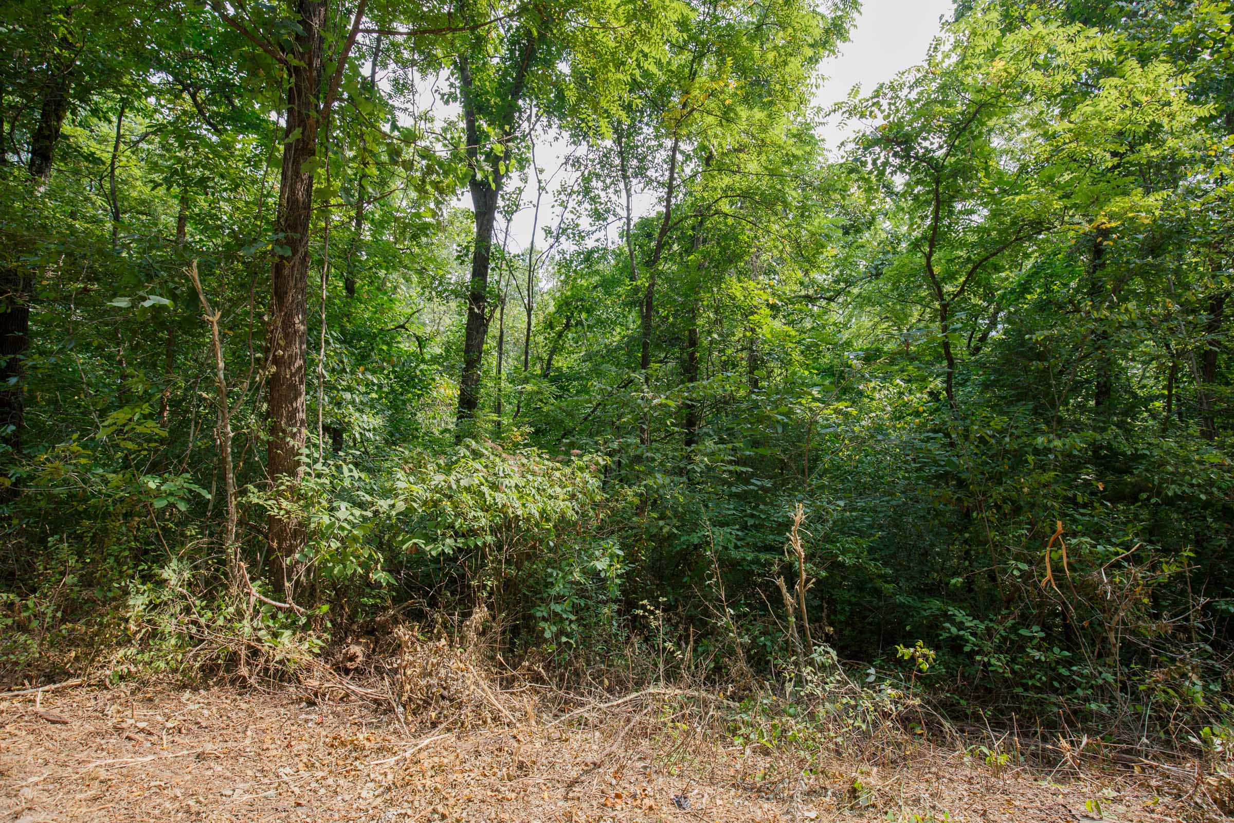 Tract 68 at Springlake in Miller County, Missouri
