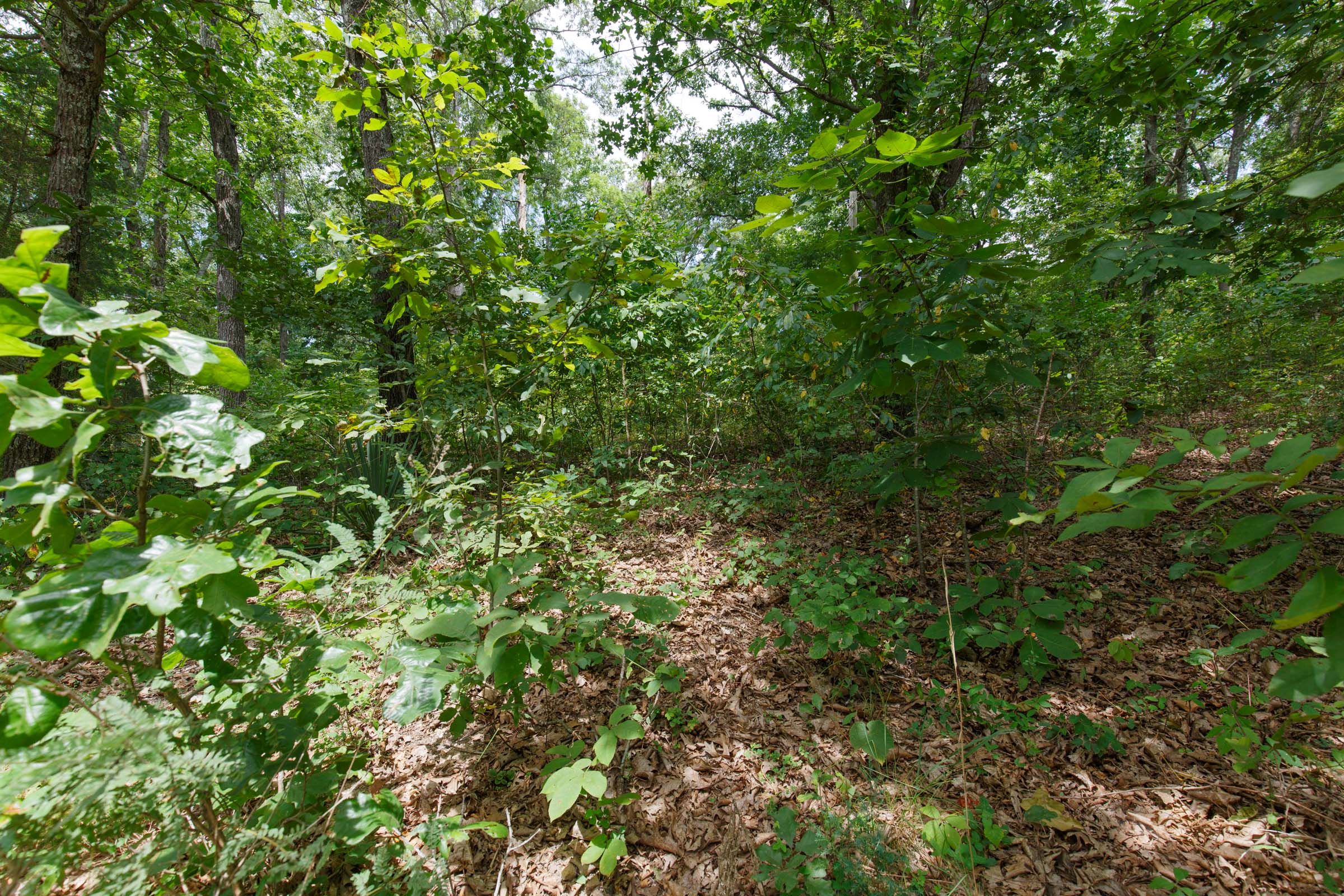 Tract 252 at Springlake in Miller County, Missouri