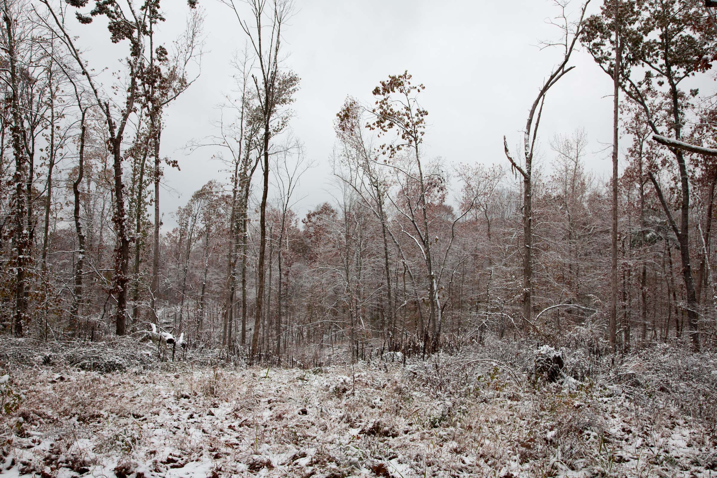 Tract 1 at Sweet Water Ranch in Decatur County, Tennessee