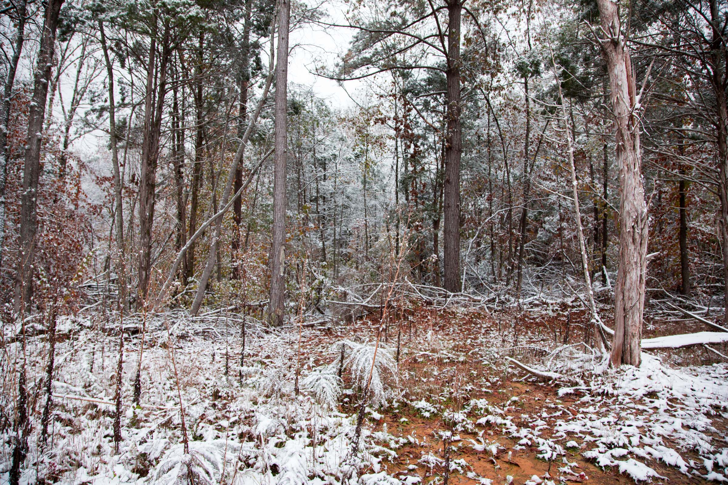 Tract 10 at Sweet Water Ranch in Decatur County, Tennessee