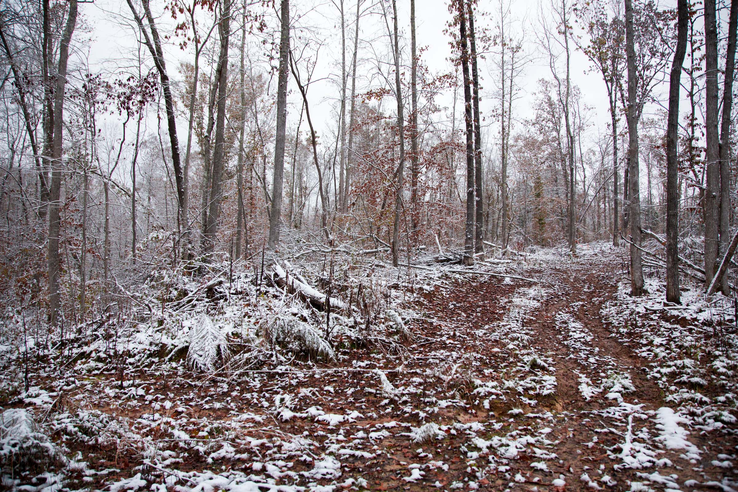 Tract 11 at Sweet Water Ranch in Decatur County, Tennessee