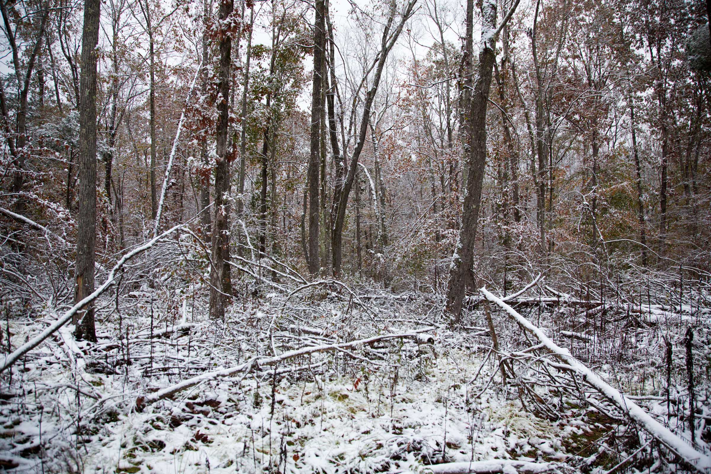 Tract 13 at Sweet Water Ranch in Decatur County, Tennessee