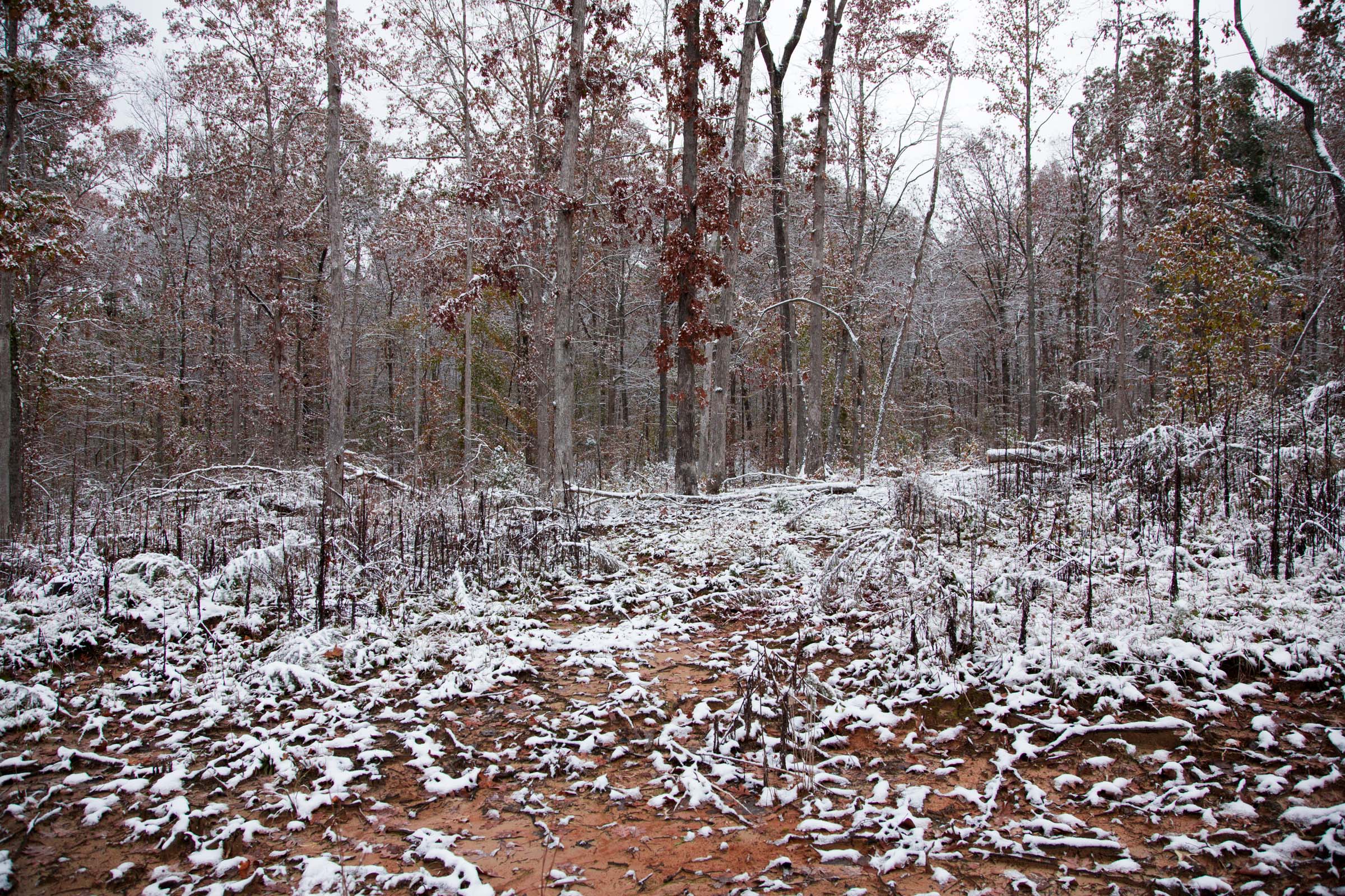 Tract 14 at Sweet Water Ranch in Decatur County, Tennessee