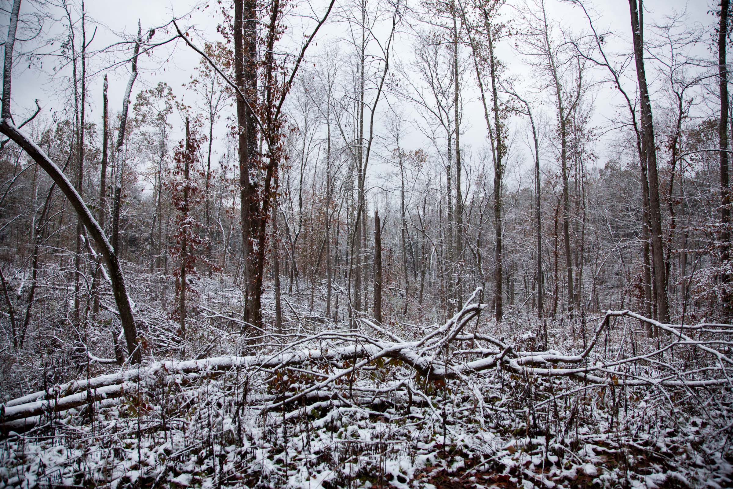 Tract 15 at Sweet Water Ranch in Decatur County, Tennessee