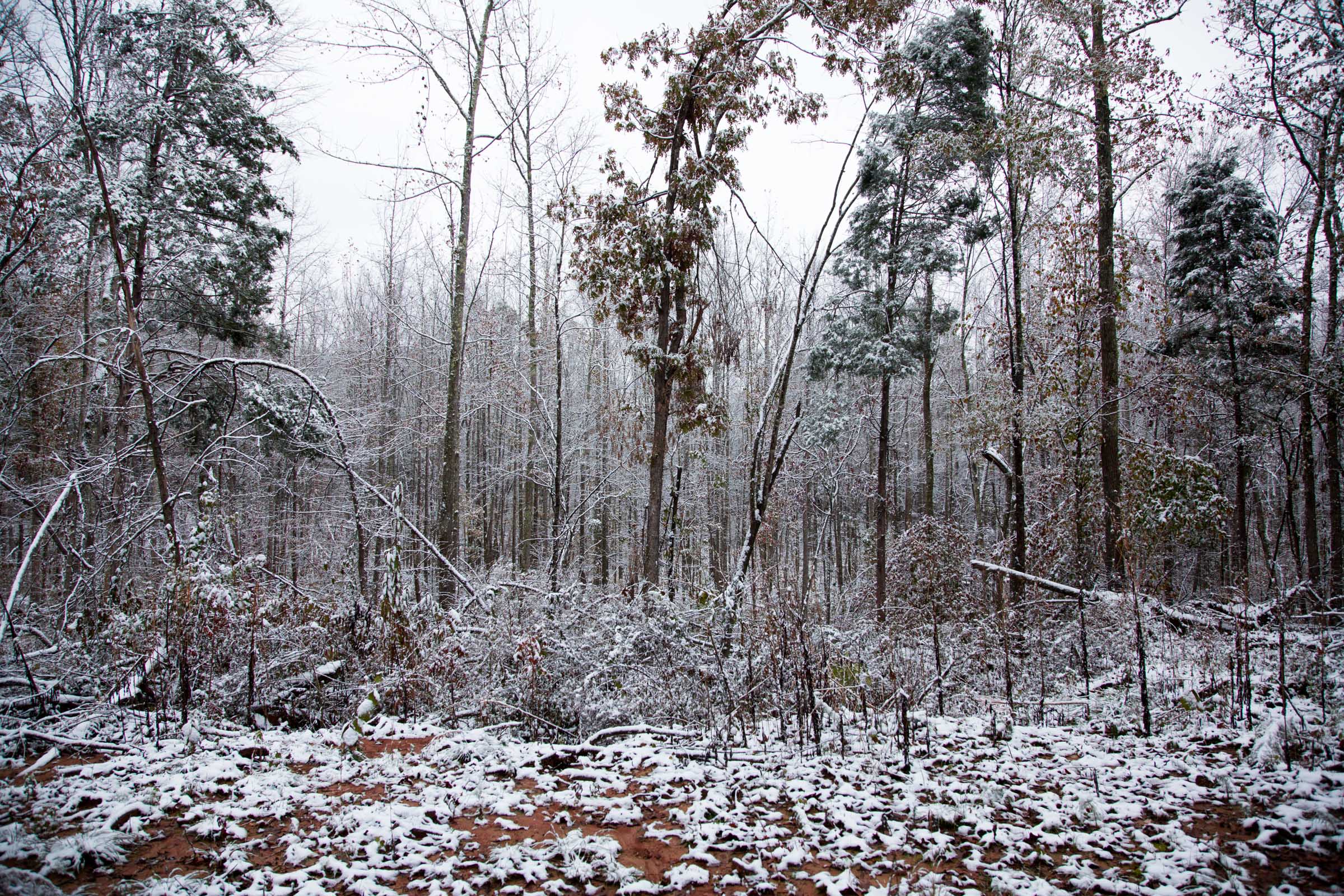 Tract 17 at Sweet Water Ranch in Decatur County, Tennessee