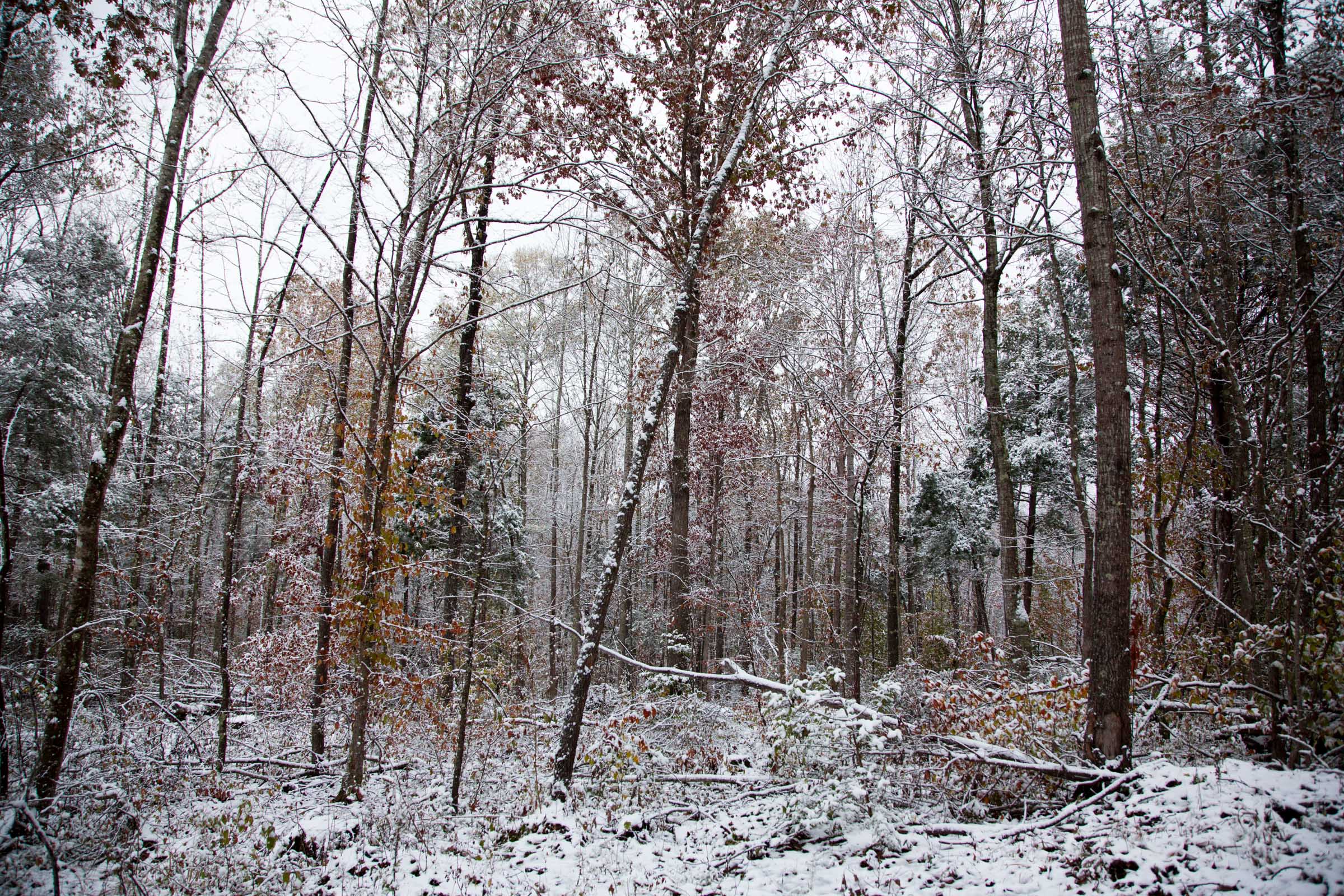 Tract 18 at Sweet Water Ranch in Decatur County, Tennessee