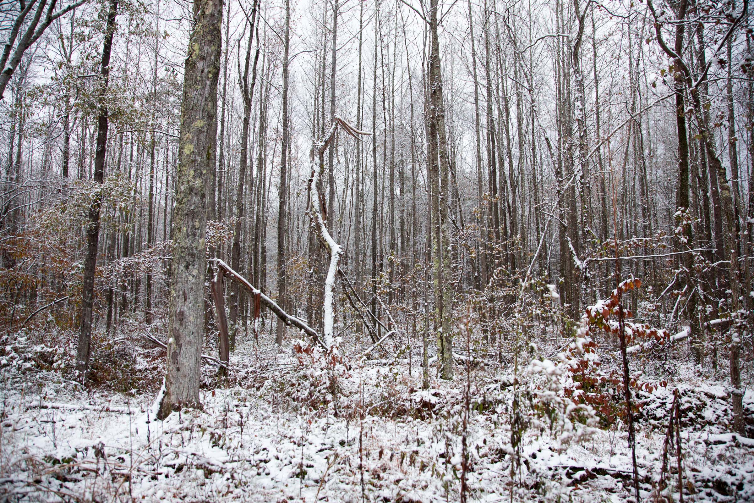 Tract 20 at Sweet Water Ranch in Decatur County, Tennessee