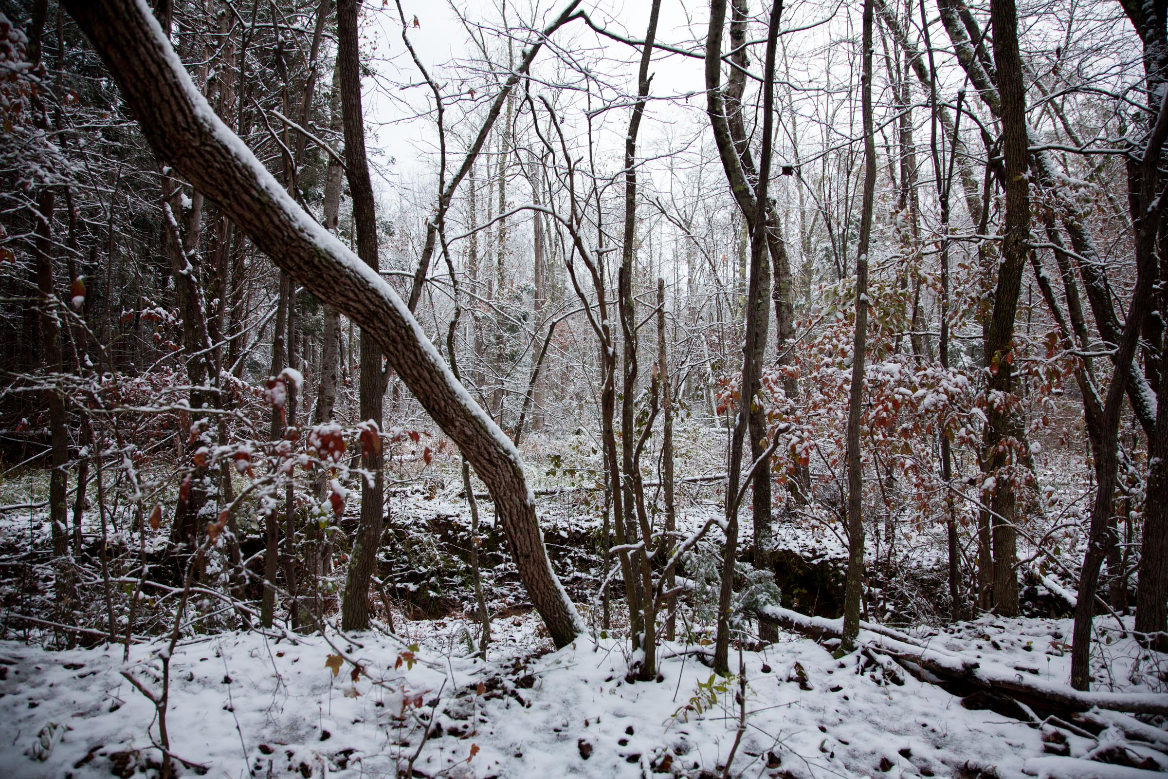 Tract 22 at Sweet Water Ranch in Decatur County, Tennessee