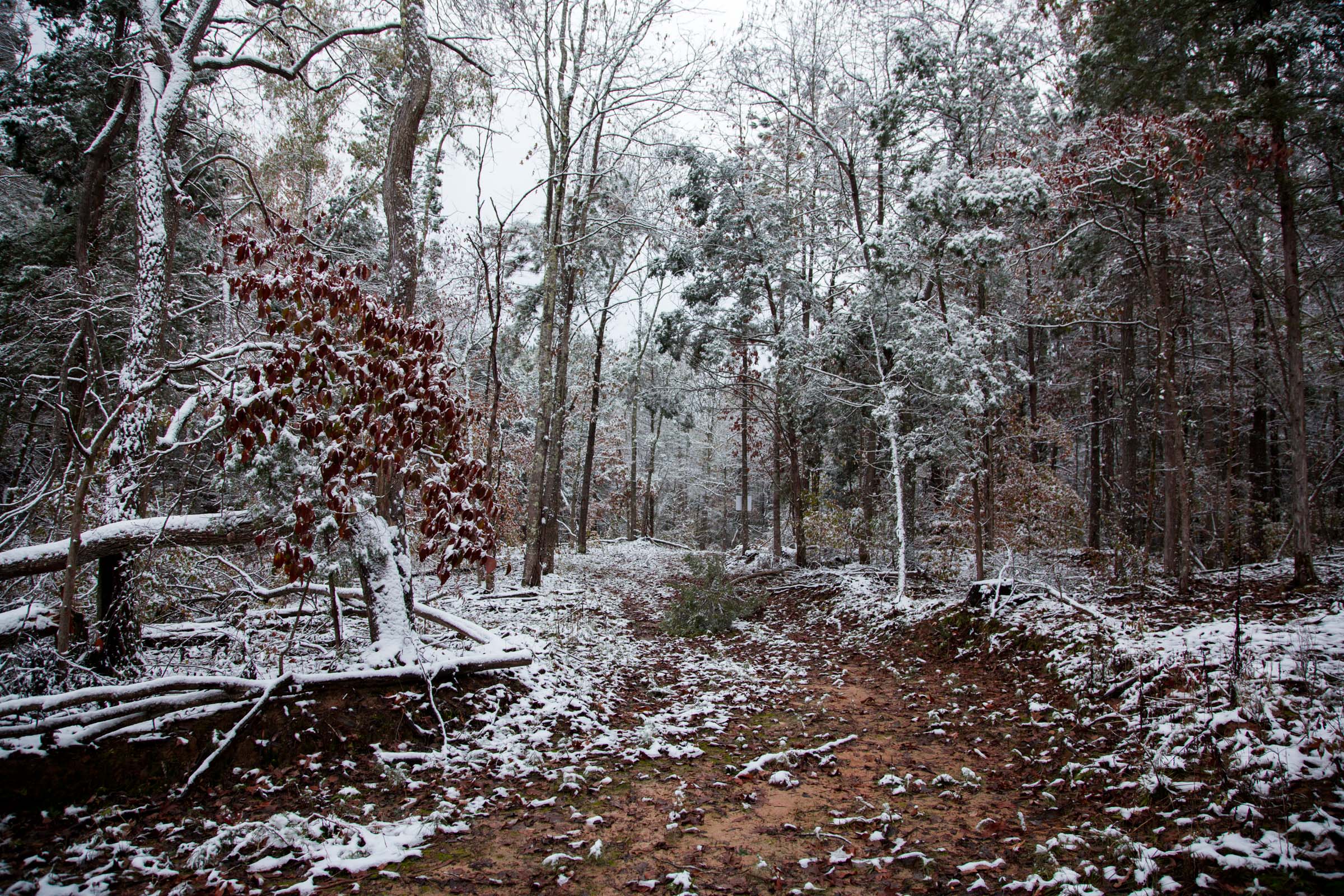 Tract 23 at Sweet Water Ranch in Decatur County, Tennessee