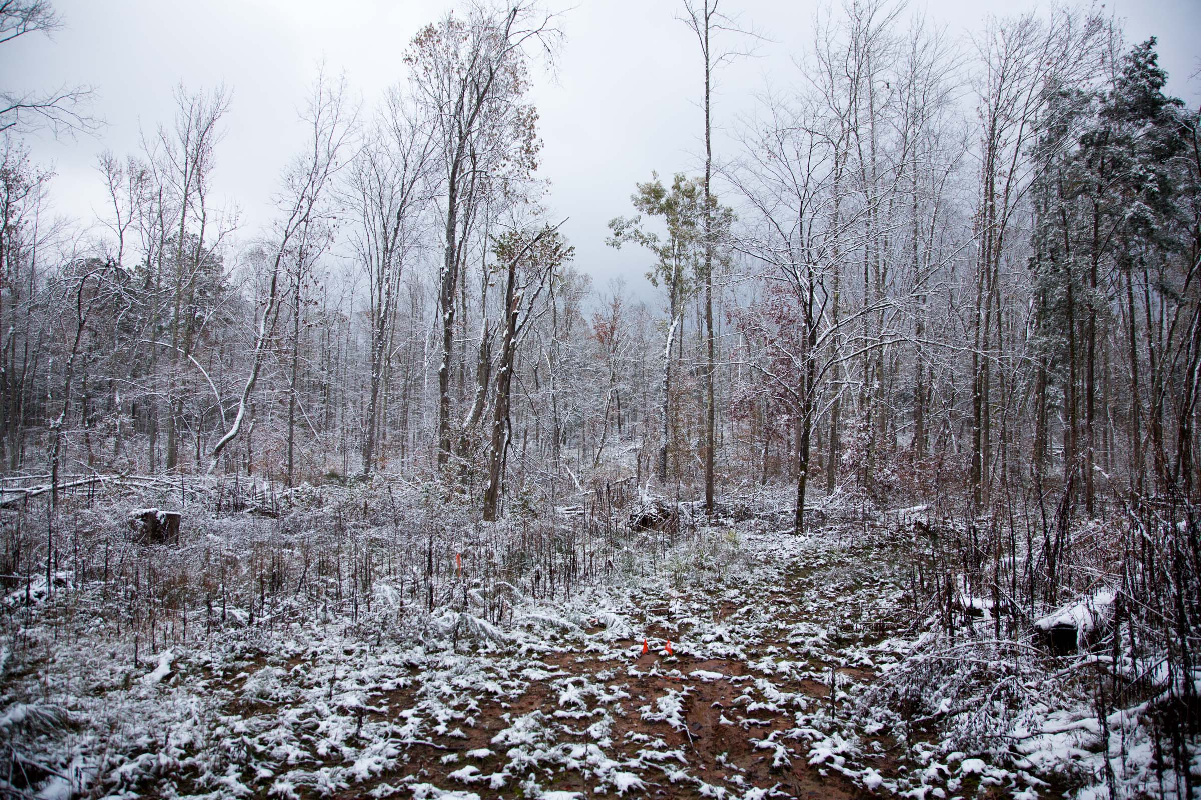 Tract 24 at Sweet Water Ranch in Decatur County, Tennessee