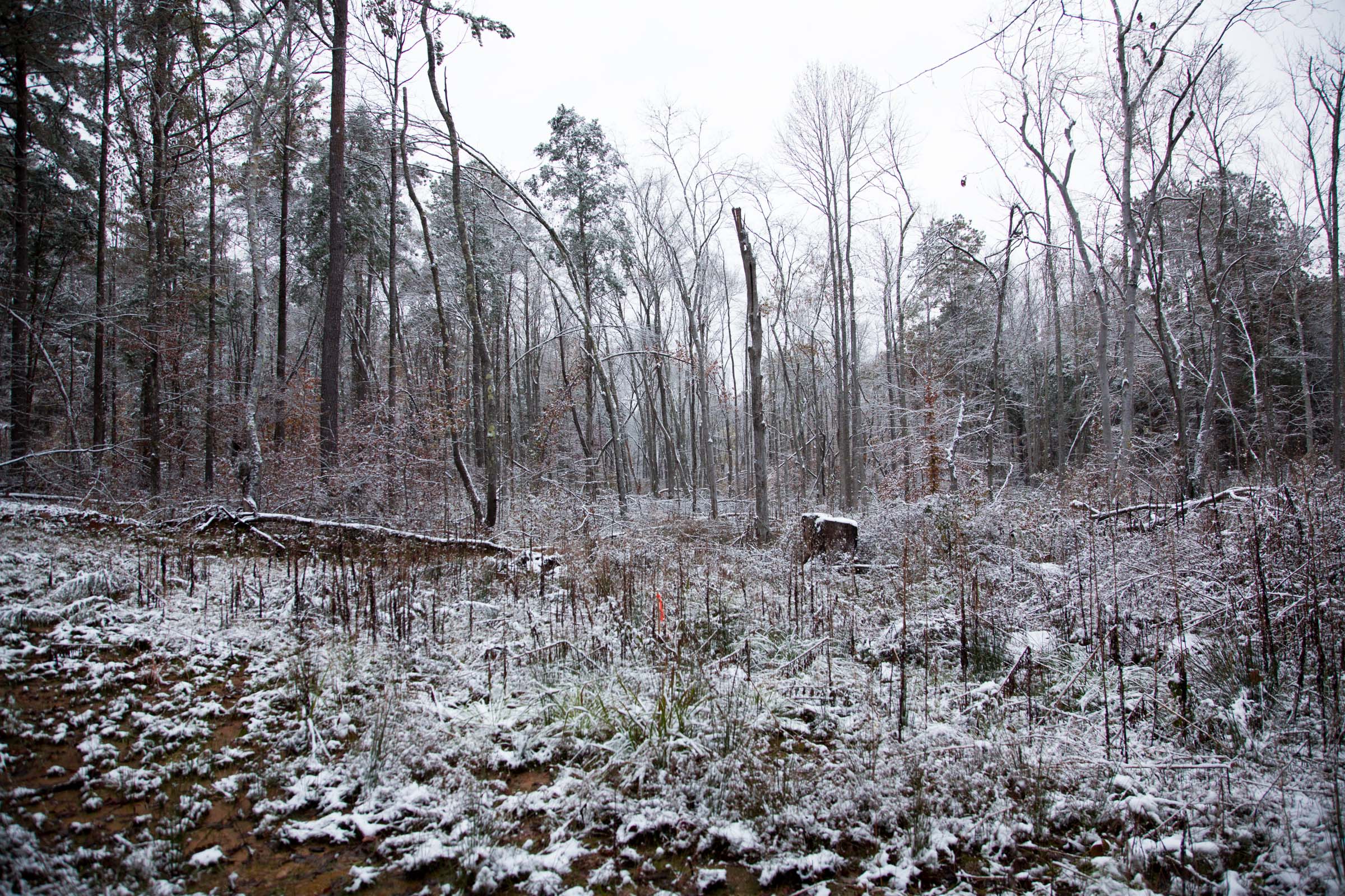 Tract 25 at Sweet Water Ranch in Decatur County, Tennessee