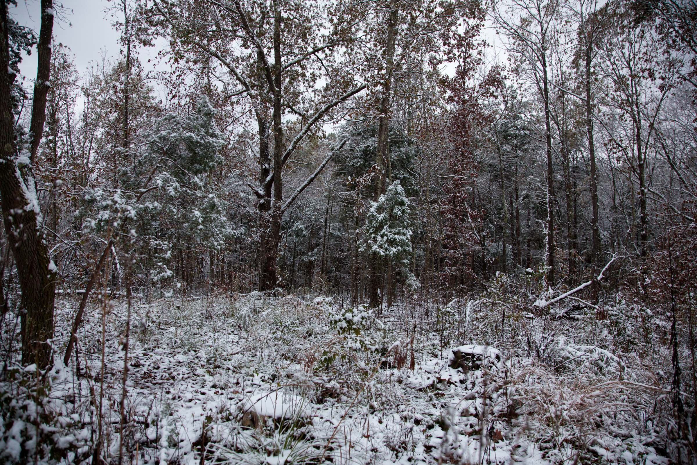 Tract 26 at Sweet Water Ranch in Decatur County, Tennessee