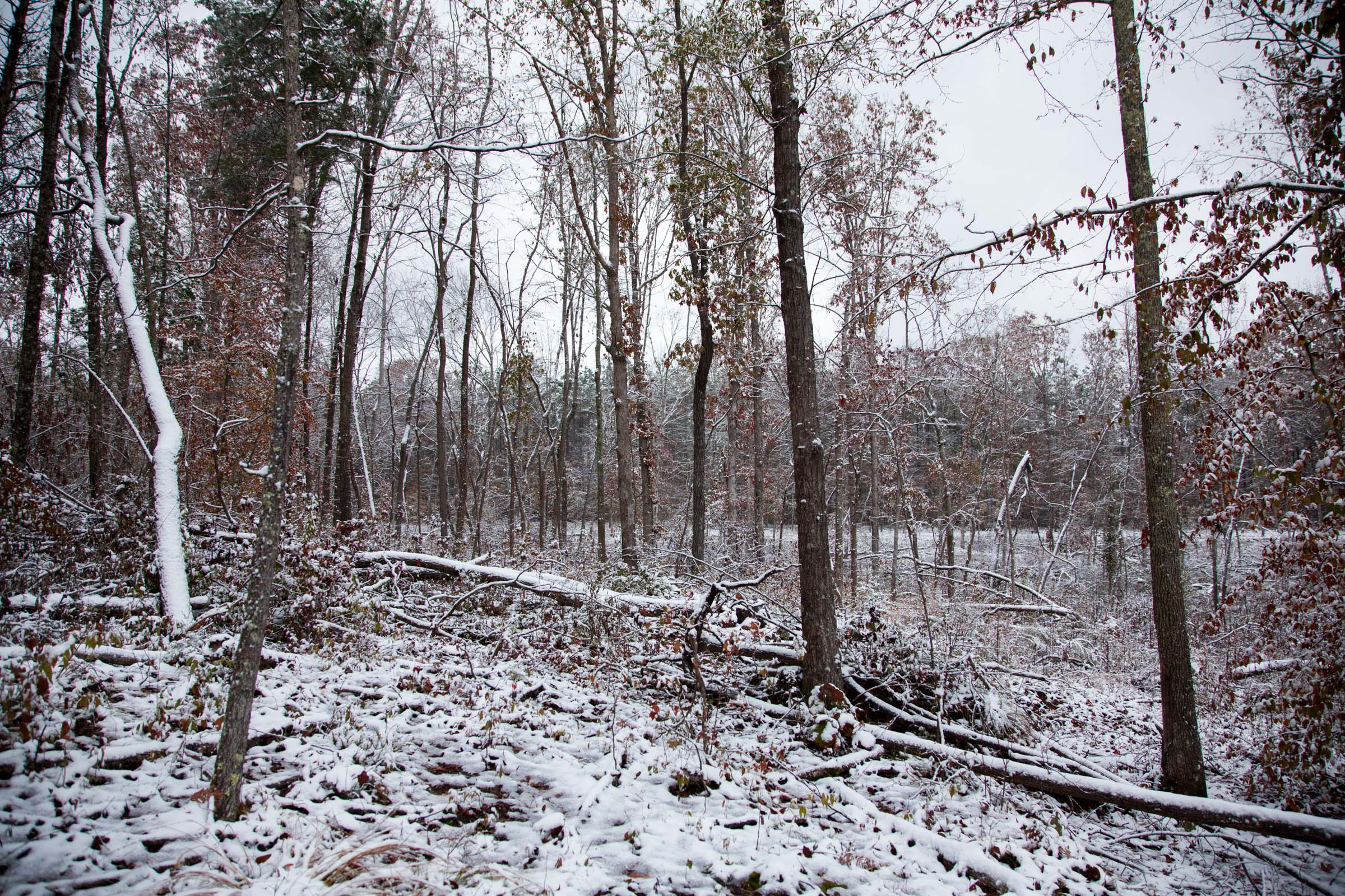 Tract 27 at Sweet Water Ranch in Decatur County, Tennessee