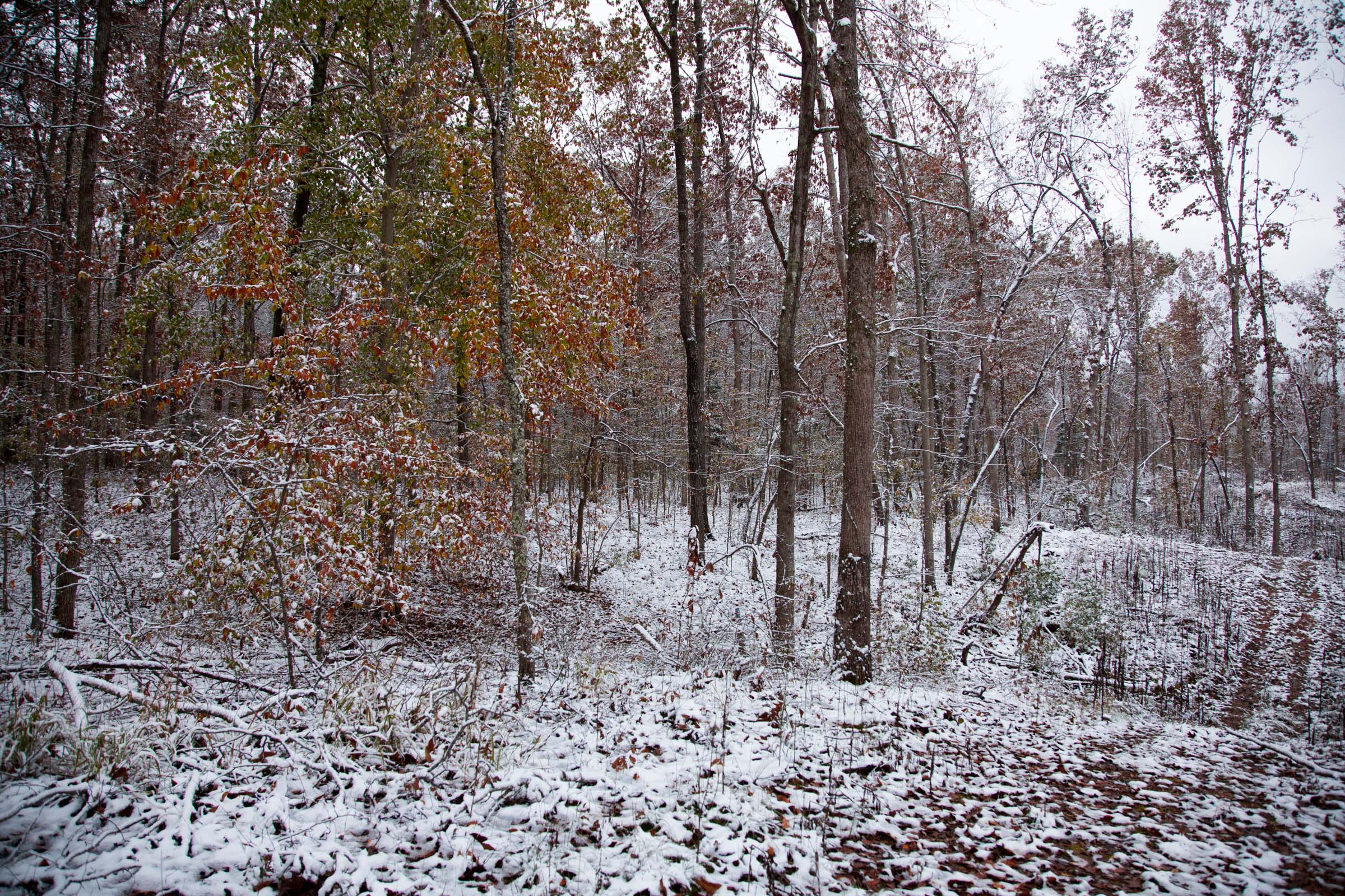 Tract 3 at Sweet Water Ranch in Decatur County, Tennessee