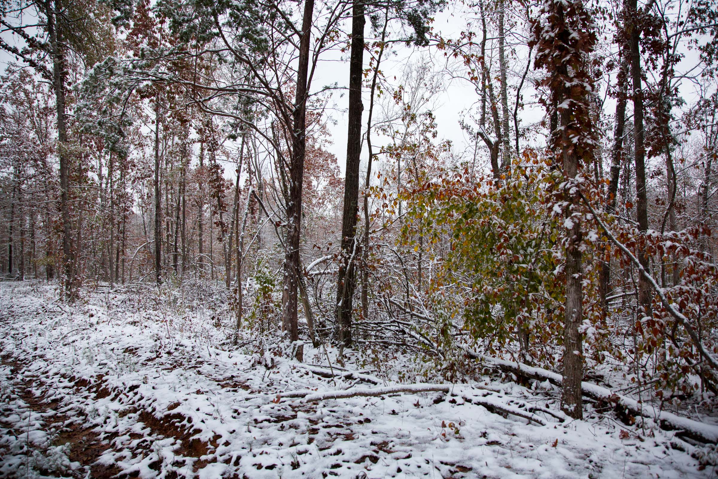 Tract 4 at Sweet Water Ranch in Decatur County, Tennessee