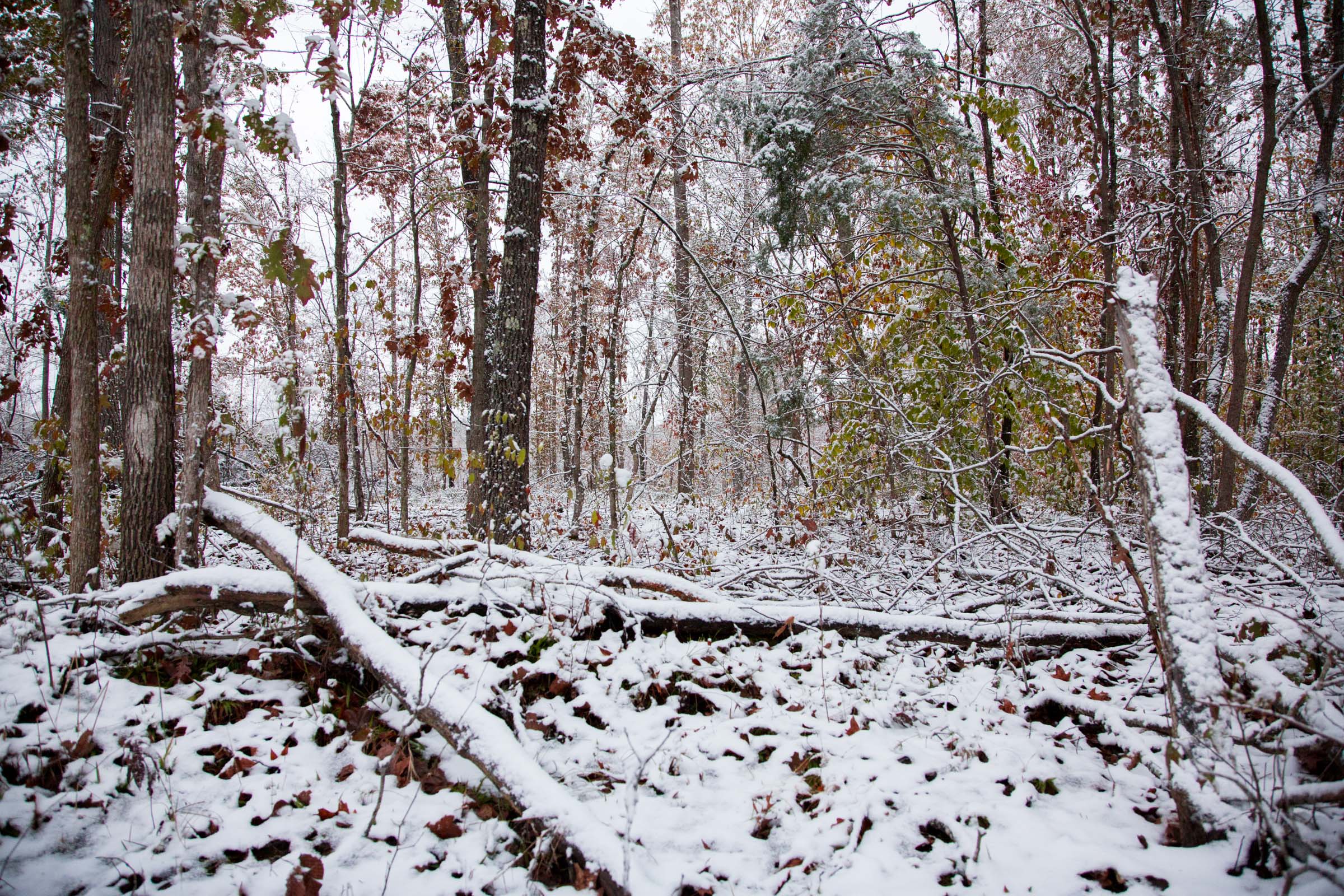 Tract 5 at Sweet Water Ranch in Decatur County, Tennessee