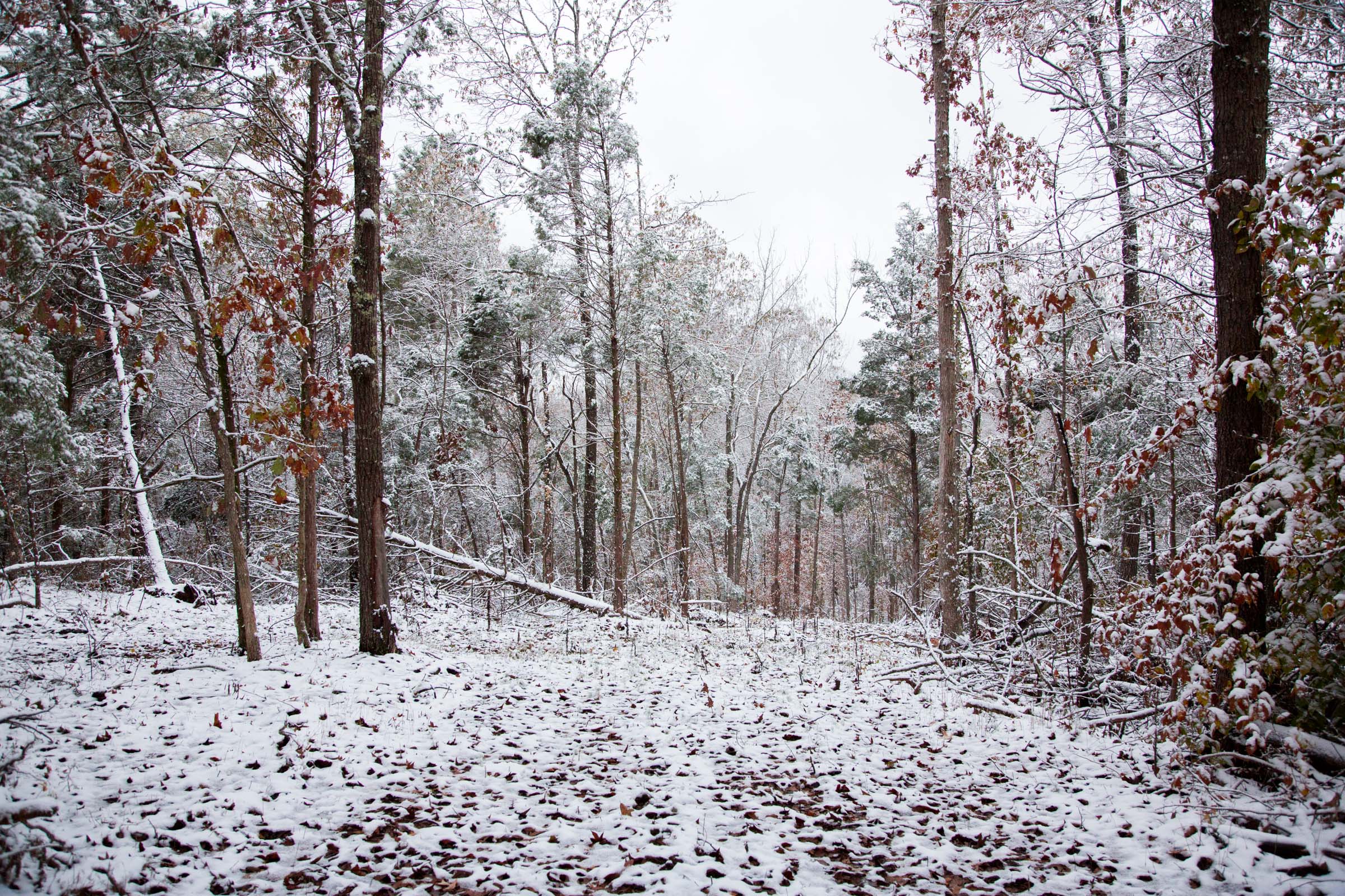 Tract 6 at Sweet Water Ranch in Decatur County, Tennessee