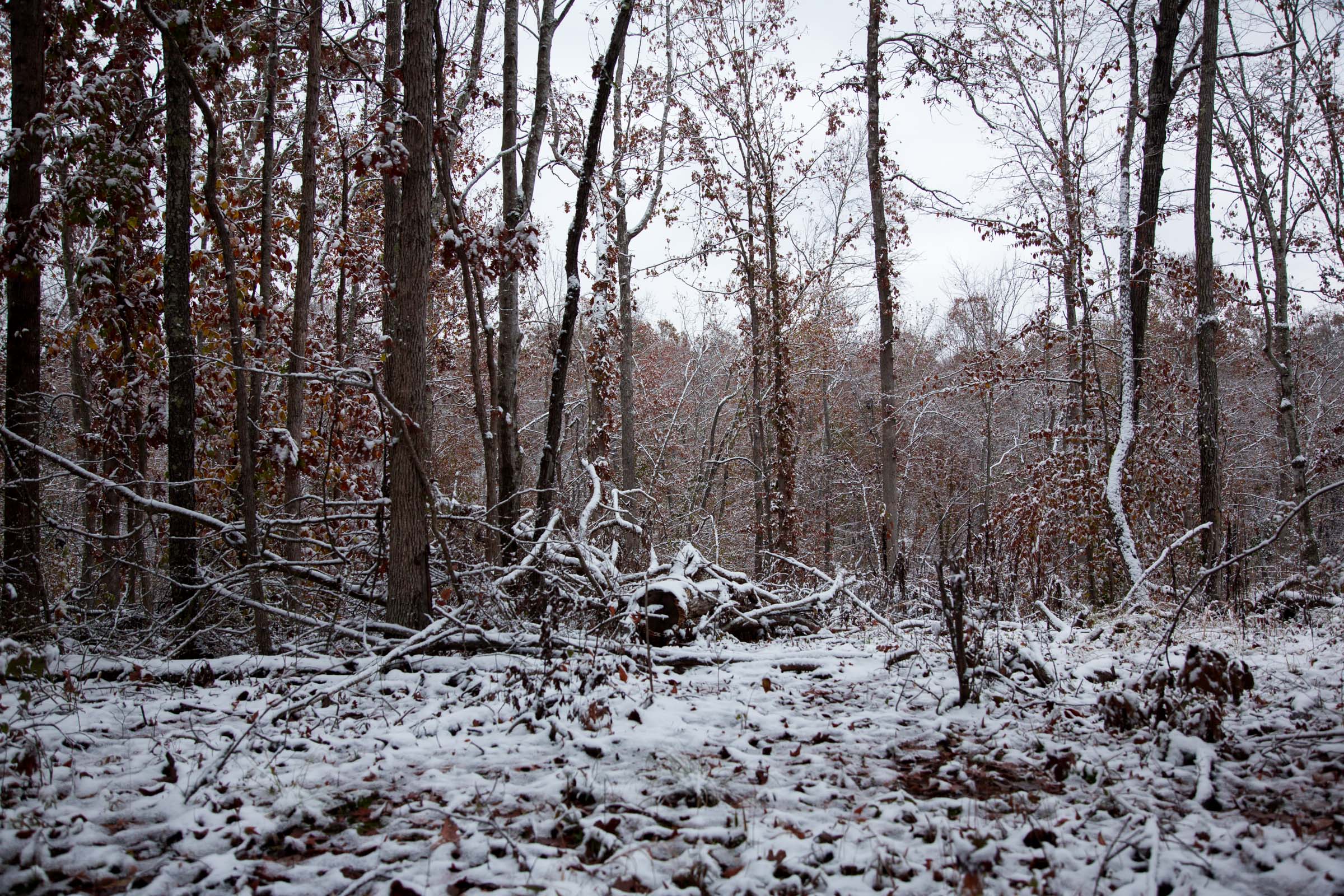 Tract 7 at Sweet Water Ranch in Decatur County, Tennessee