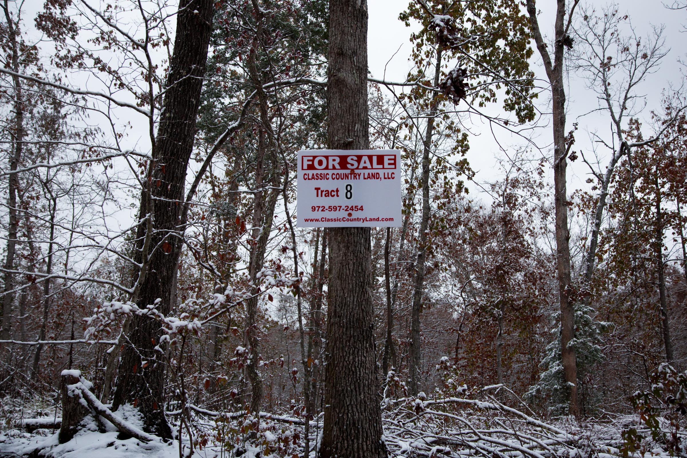 Tract 8 at Sweet Water Ranch in Decatur County, Tennessee